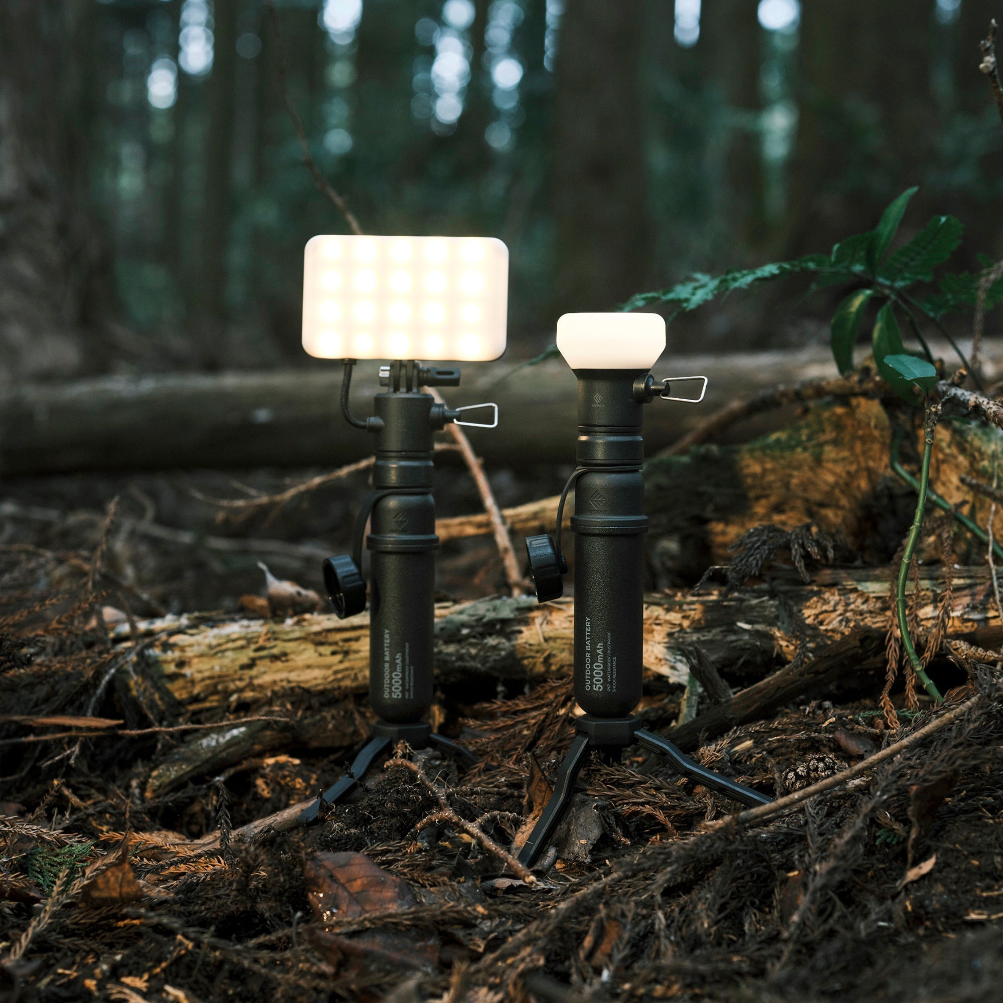 Nestout FLASH-1 LED Light