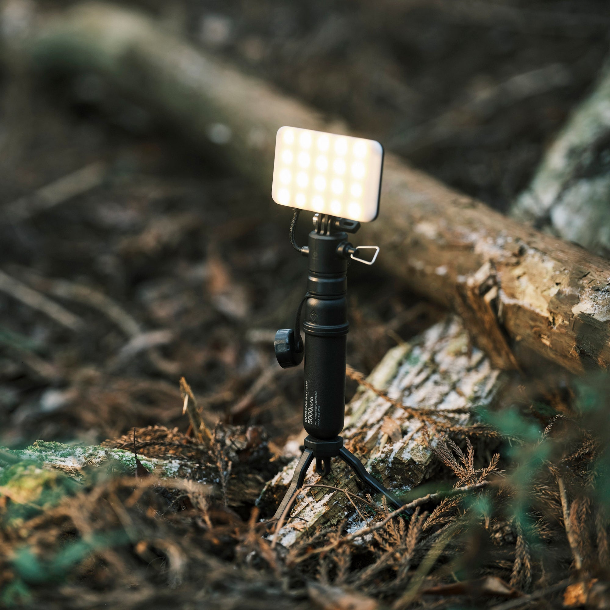 Nestout FLASH-1 LED Light