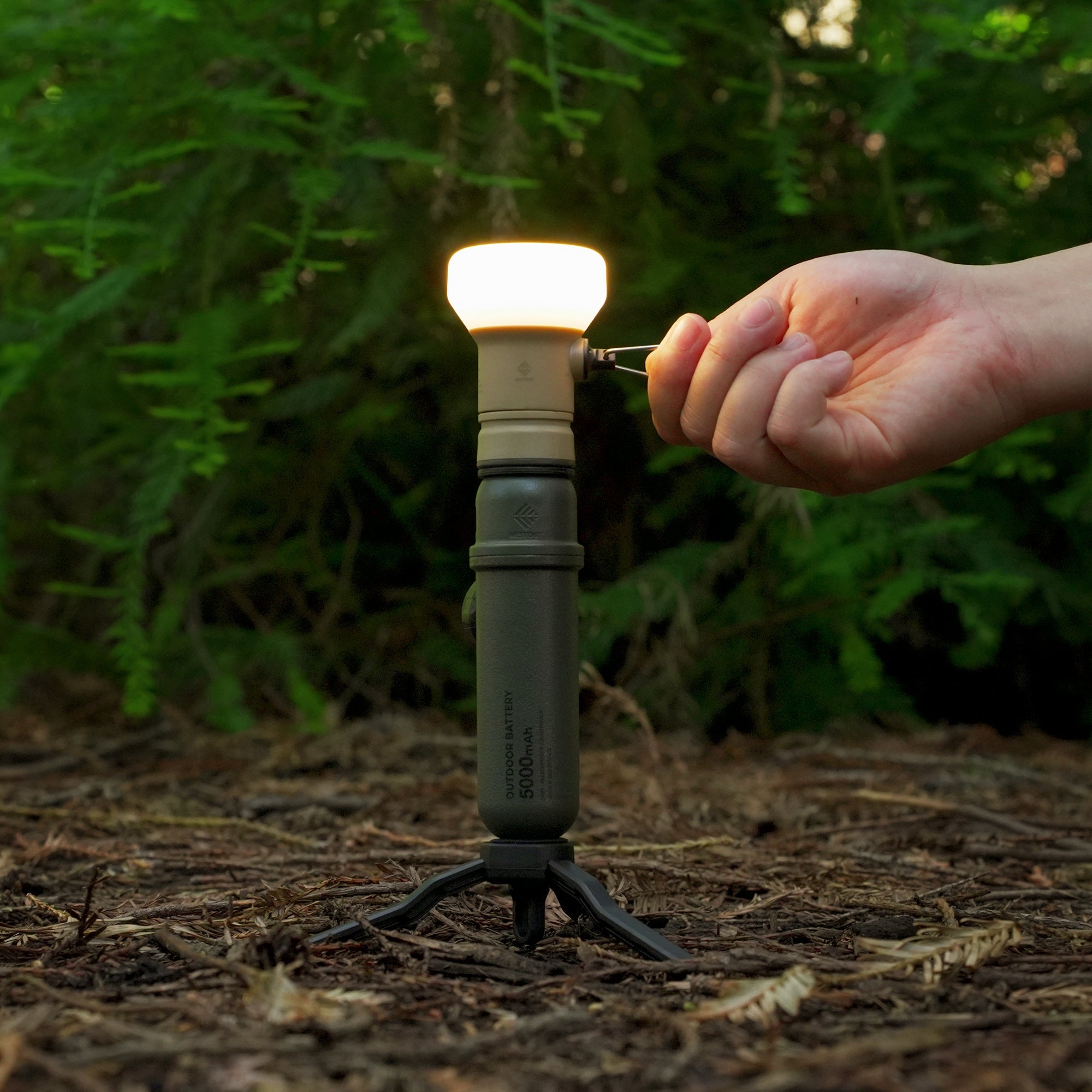 Nestout LAMP-1 Lantern Light