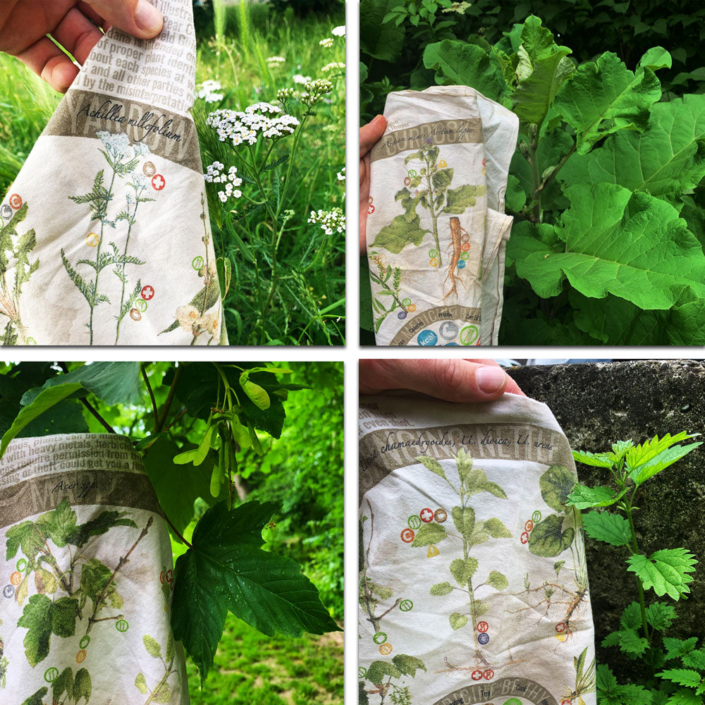 Wazoo Gear Foraging Bandana