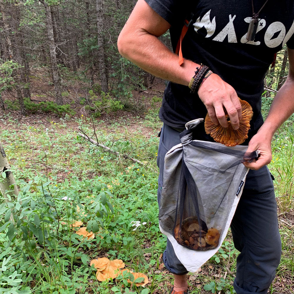 Wazoo Gear Foraging BandaNet