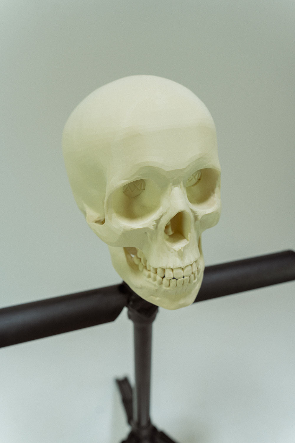 AXL Advanced The Skull